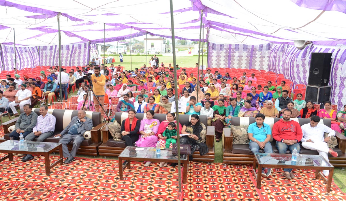 Photo Gallery